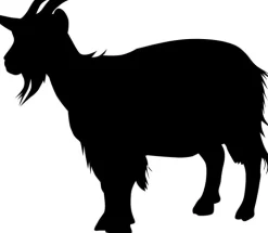 Frankenstolz Natur Kopfkissen waschbar mit Kaschmir