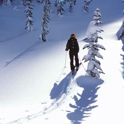 Innen-Handschuhe GLOVE LINERS 100% Seide Traveler´s Tree®