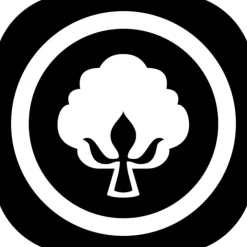 Kopfkissen AFRICAN COTTON f.a.n. Frankenstolz mit Lyocell