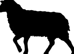 LAST SIZE f.a.n. Schafwolle Vierjahreszeitendecke DERBY 40° waschbar 135x200 cm