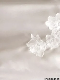 Negligé SPLENDIDA mit Seide Cotton Club Seta Superior