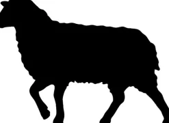 Sannwald ALPENTRAUM Kopfkissen mit Zirbe