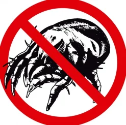 Sannwald Duo Bettdecke ALPENTRAUM Schafwolle mit Zirbe