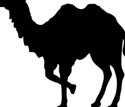 Sannwald leichte Sommerdecke mit Kamelhaar KAIRO waschbar