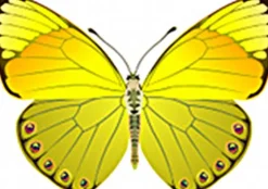 Seidendecke mittelwarm SILK DREAM GD 100% Wildseide von Hefel