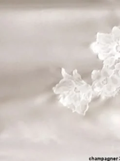 Seta Superior Top ESTREMO mit Seide und Spitze von Cotton Club