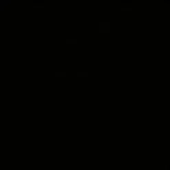 Triumph HIGH FASHION Push-Up Bikini nur noch in schwarz